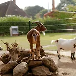 Am Hof 3 *