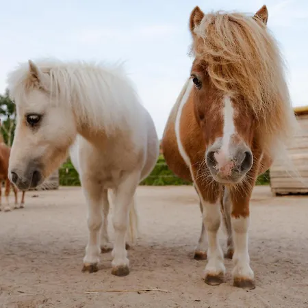 Am Hof 3 Semesterbostad