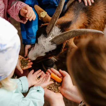 Semesterbostad Am Hof 3 Staberdorf