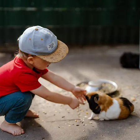 Am Hof 3 * Staberdorf