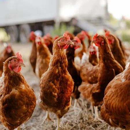 Am Hof 3 Semesterbostad