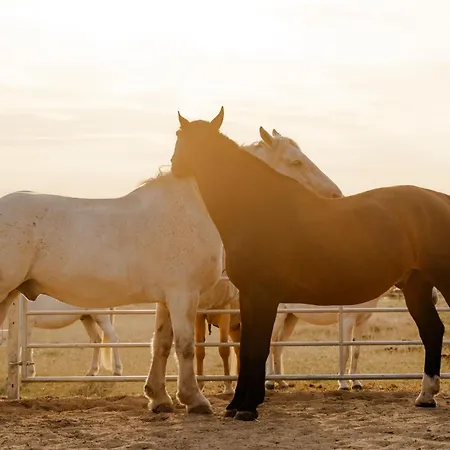 Am Hof 3 Semesterbostad *