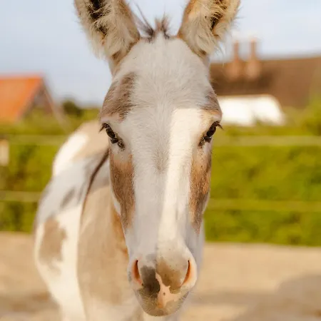 Am Hof 3 Сasa de vacaciones