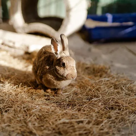 Semesterbostad Am Hof 3 Staberdorf