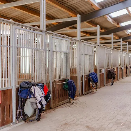 Semesterbostad Am Hof 3 Staberdorf