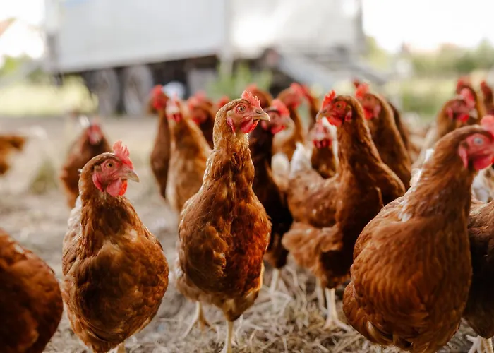 Am Hof 3 Casa vacanze