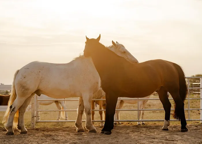 Am Hof 3 Casa vacanze *