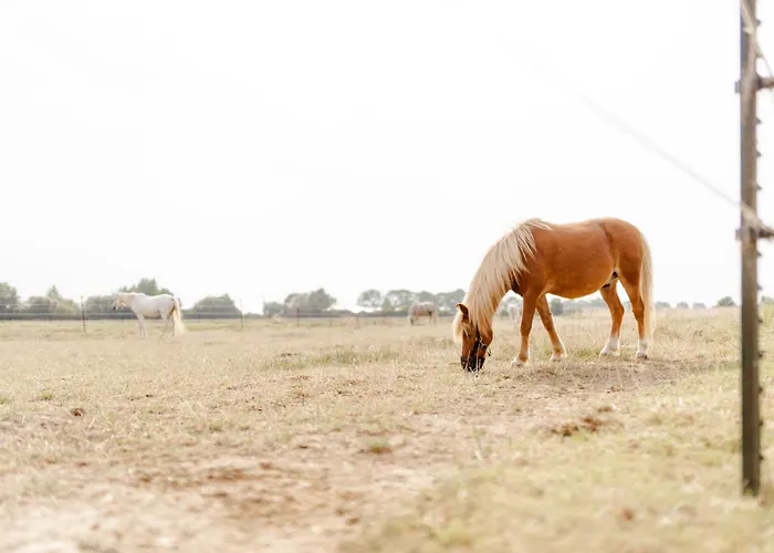 Am Hof 3 Casa vacanze