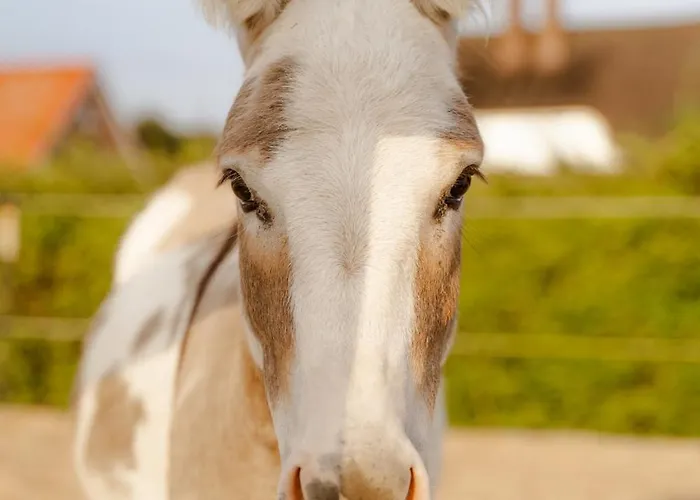 Am Hof 3 Casa vacanze