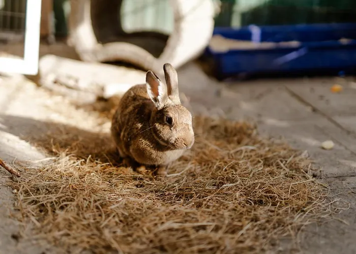 Casa vacanze Am Hof 3 Staberdorf